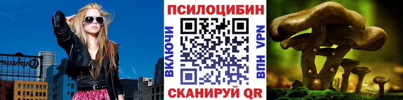 Псилоцибиновые грибы Psilocybe  omg зеркало  Струнино  даркнет сайт 