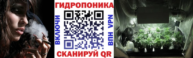 купить наркотики сайты  Струнино  Бошки марихуана план 